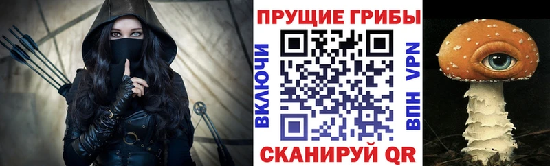 Галлюциногенные грибы Psilocybe  Тимашёвск 